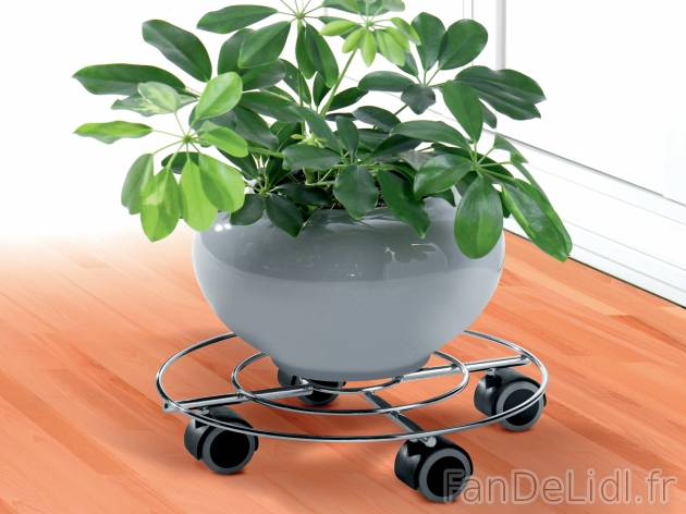 Support roulant pour plantes , le prix 4.49 € 
- Au choix : en acier chromé, ...