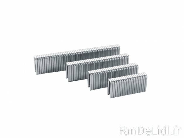 Set d’agrafes ou de pointes , le prix 3.99 € 
- Au choix : set de 3 200 agrafes ...