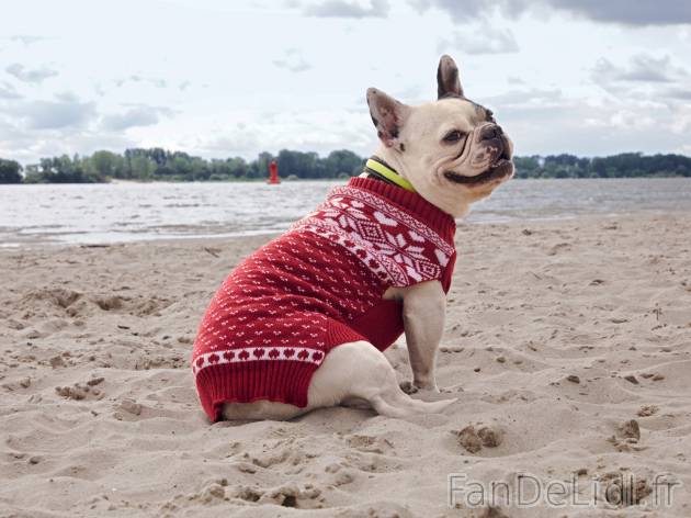 Pull pour chien , le prix 4.99 €  
-  Du XS au L selon modèle
-  Ex. 100 % acrylique