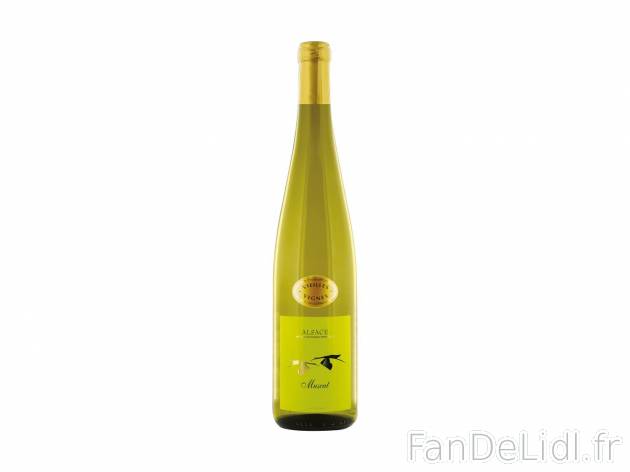Muscat Vieilles Vignes AOC1 , prezzo 3.99 &#8364; per 75 cl 
- Temp&eacute;rature ...
