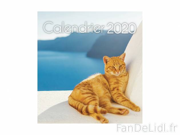 Calendrier chevalet 2020 , le prix 2.49 € 
- 3 modèles au choix
- Autres modèles ...