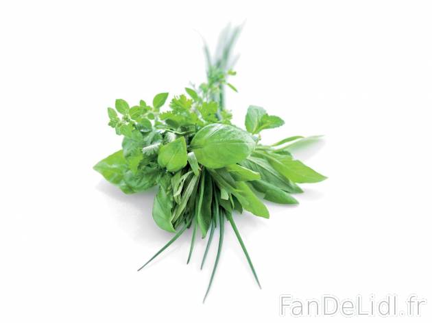 Herbes aromatiques1 , prezzo 1.49 € per Le sachet de 30 g 
    - Herbes aromatiques ...
