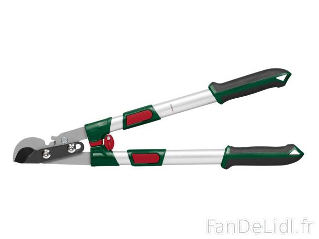 Coupe-branche télescopique , prezzo 16.99 EUR 
Coupe-branche télescopique 
- Double ...