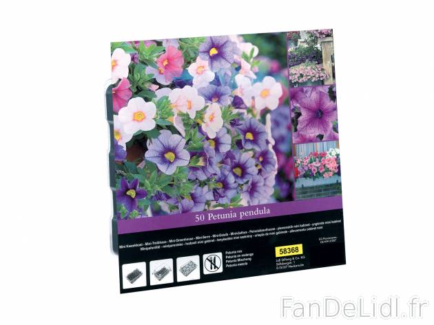 Mini serre fruits/Fleurs/Légumes , le prix 0.74 € 
- Les 2 plantes au choix ...