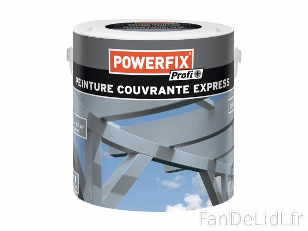Peinture express couvrante , le prix 12.99 € 
- Pour intérieur et extérieur
- ...