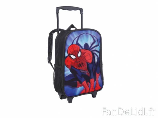 Trolley , prezzo 9.99 € per L&apos;unité au choix 
- Poignée télescopique ...