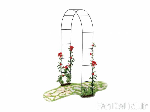 Arche pour rosiers ou tour de culture , le prix 9.99 € 
Au choix : 
- Arche ...