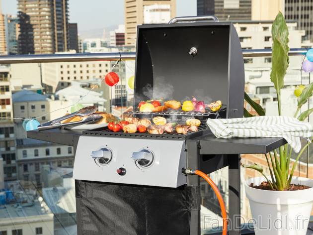 Barbecue à gaz mobile 2 brûleurs , le prix 89.99 € 
- 5,6 kW
- Env. 109,5 ...