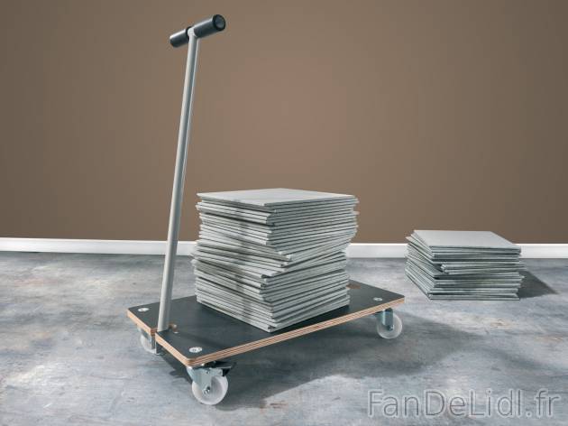 Chariot de transport , le prix 19.99 € 
- Env. 700 x 370 mm
- 250 kg max.
- ...