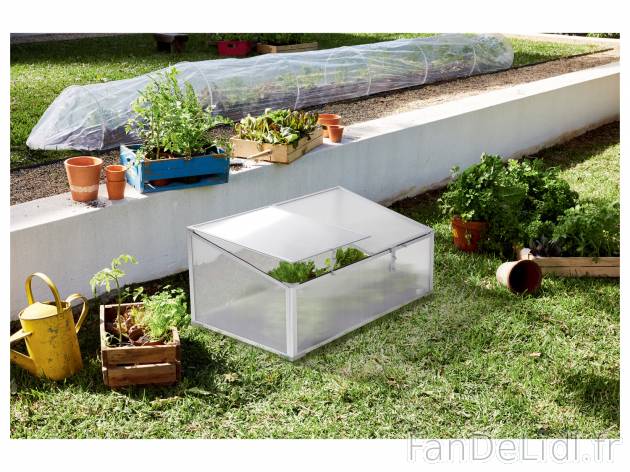 Mini-serre de jardin , le prix 26.99 € 
- Pour les semis et plants à repiquer
- ...