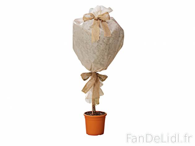 Matériel d’hivernage pour plante , le prix 1.99 € 
- Au choix : HOUSSE OU ...