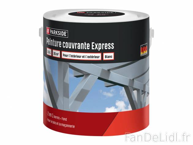 Peinture couvrante express , le prix 13.99 € 
- 2 en 1 : vernis + fond
- Env. ...