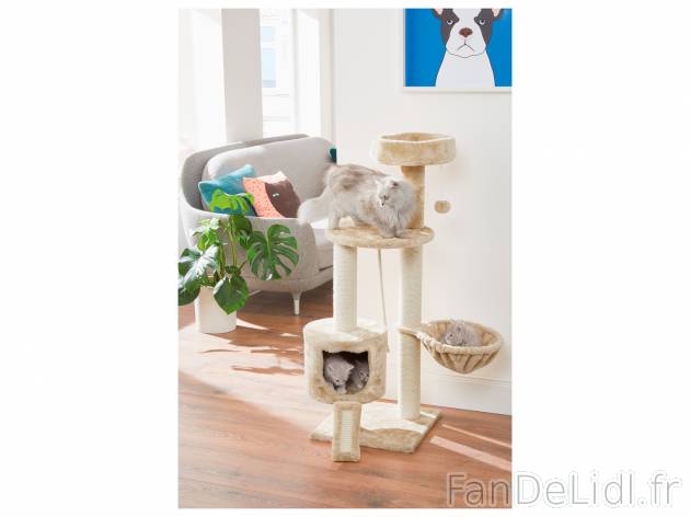 Arbre à chat , le prix 34.99 € 
- Env. 70 x 50 x 115 cm
- 6 kg max.
- En sisal ...
