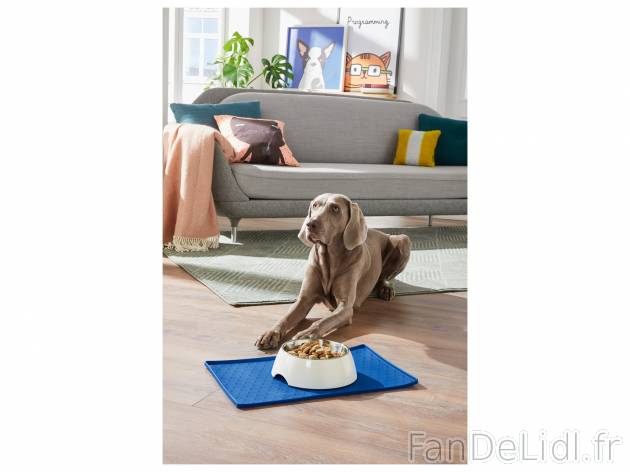 Gamelle ou support pour gamelles , le prix 4.99 € 
Au choix : 
- Support pour ...