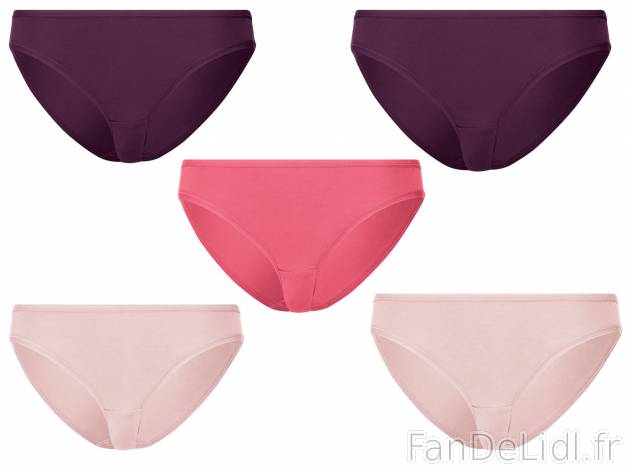 Slips femme , le prix 6.99 € 
- Du S au XL selon modèle.
- Ex. 95 % coton et ...