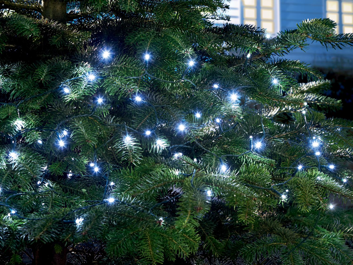Guirlande lumineuse LED à piles ou secteur , le prix 7.99 €
- Melinera®
- ...