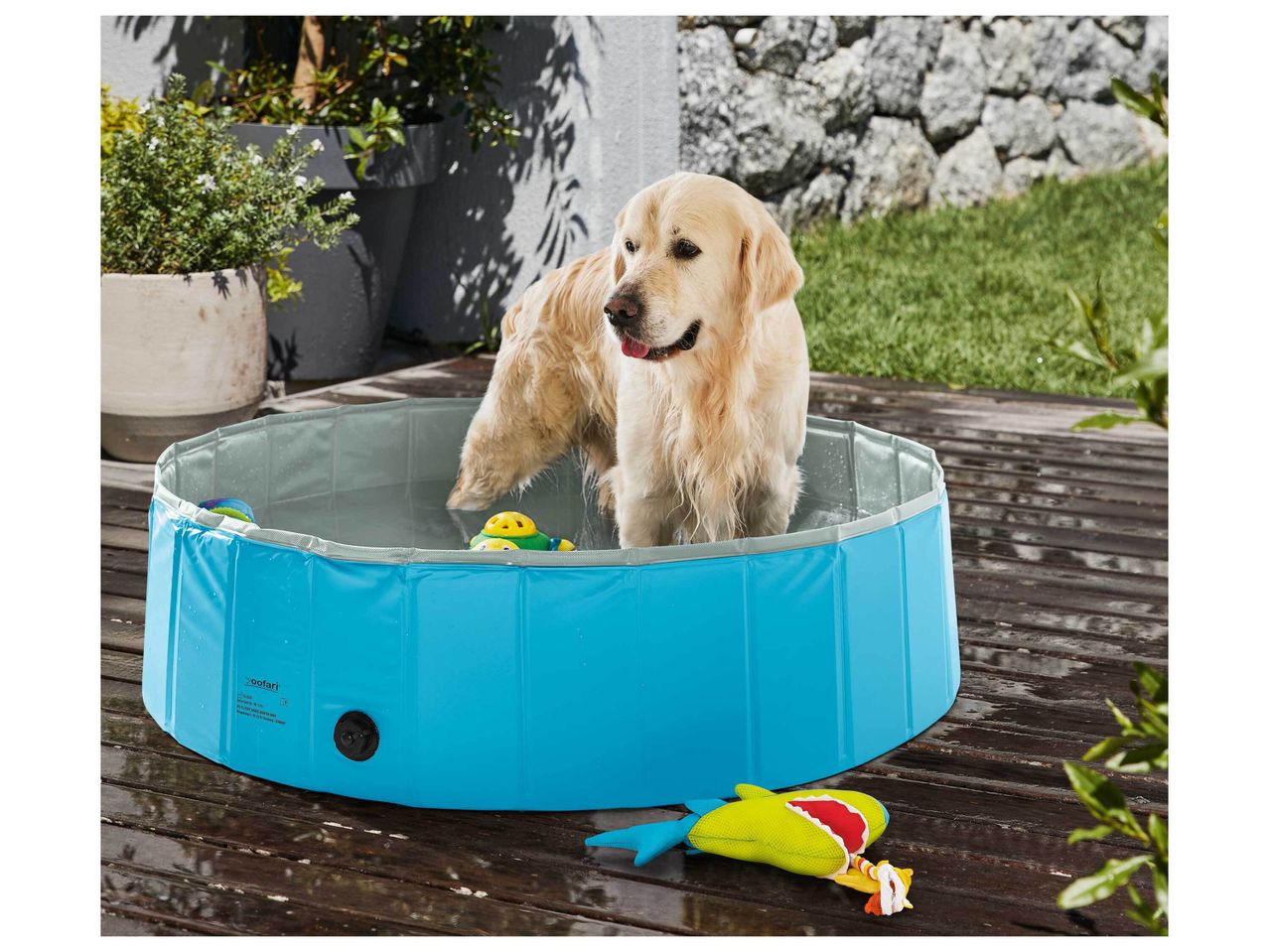 Piscine pour chien , prezzo 39.99 EUR
Piscine pour chien
- Env. 120 x 30 cm (Ø ...