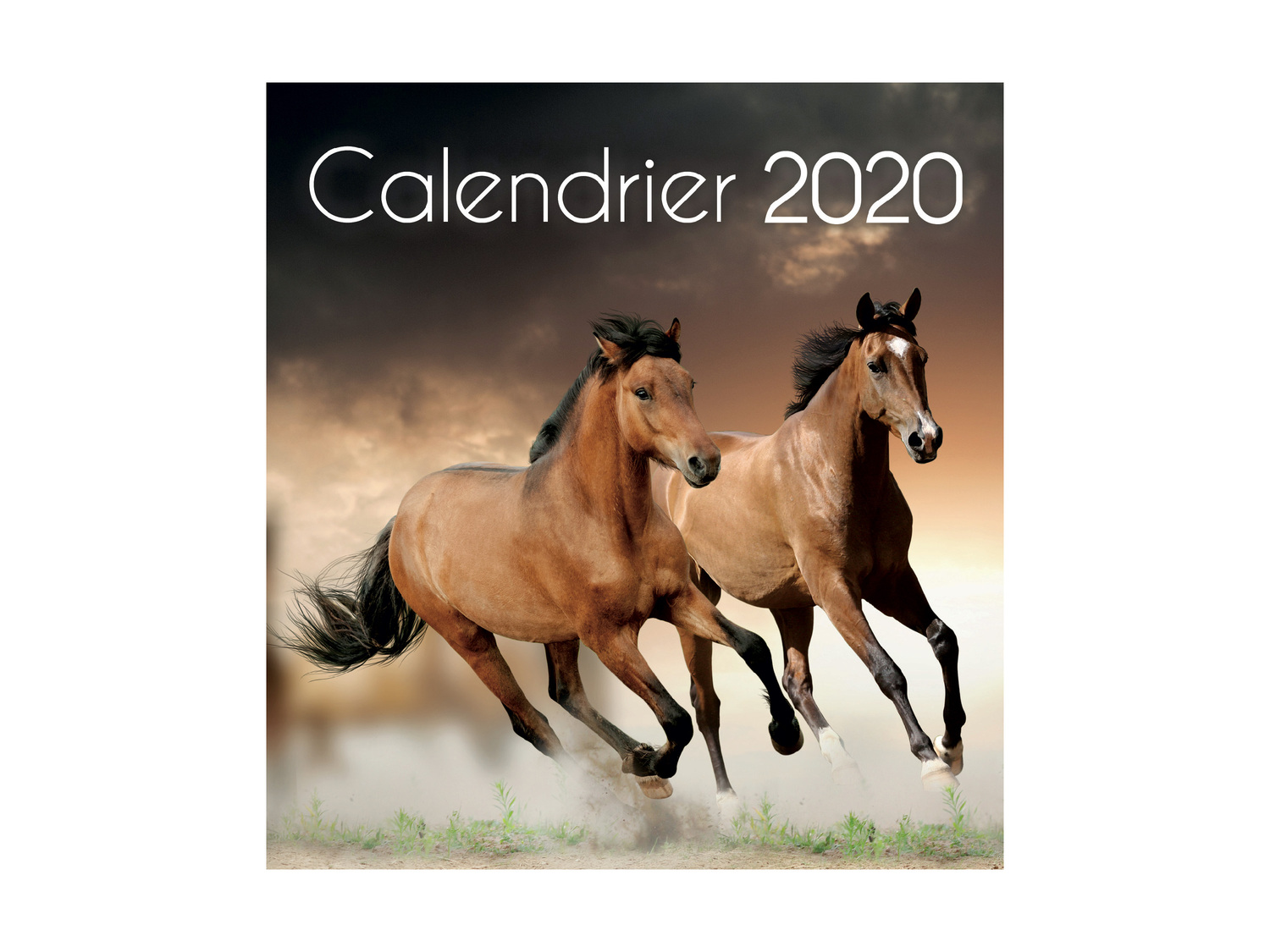 Calendrier chevalet 2020 , le prix 2.49 €
- 3 modèles au choix
- Autres modèles ...