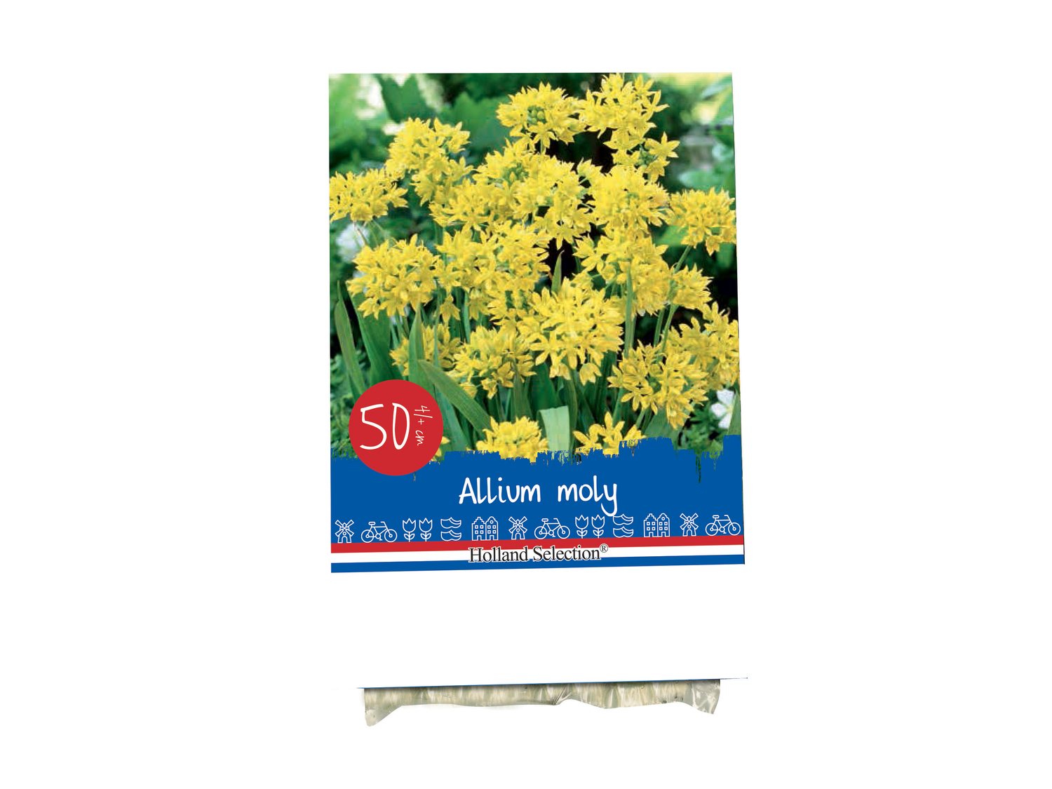 Bulbes fleurs automne standard , le prix 0.86 €
- Les 3 sachets au choix : 2,58 ...