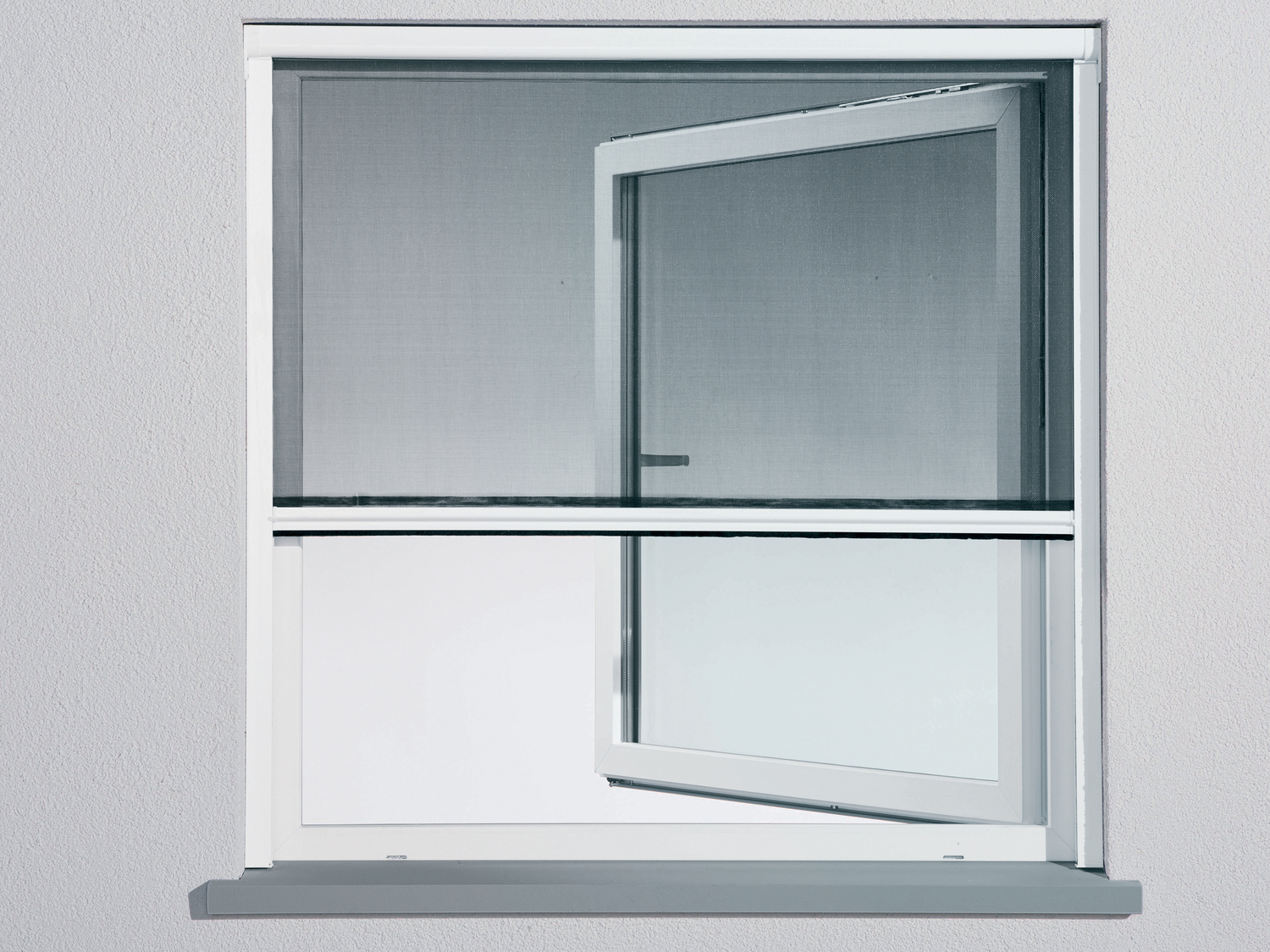 Moustiquaire pour fenêtre , le prix 19.99 €
- Env. 130 x 160 cm
- Joints ...