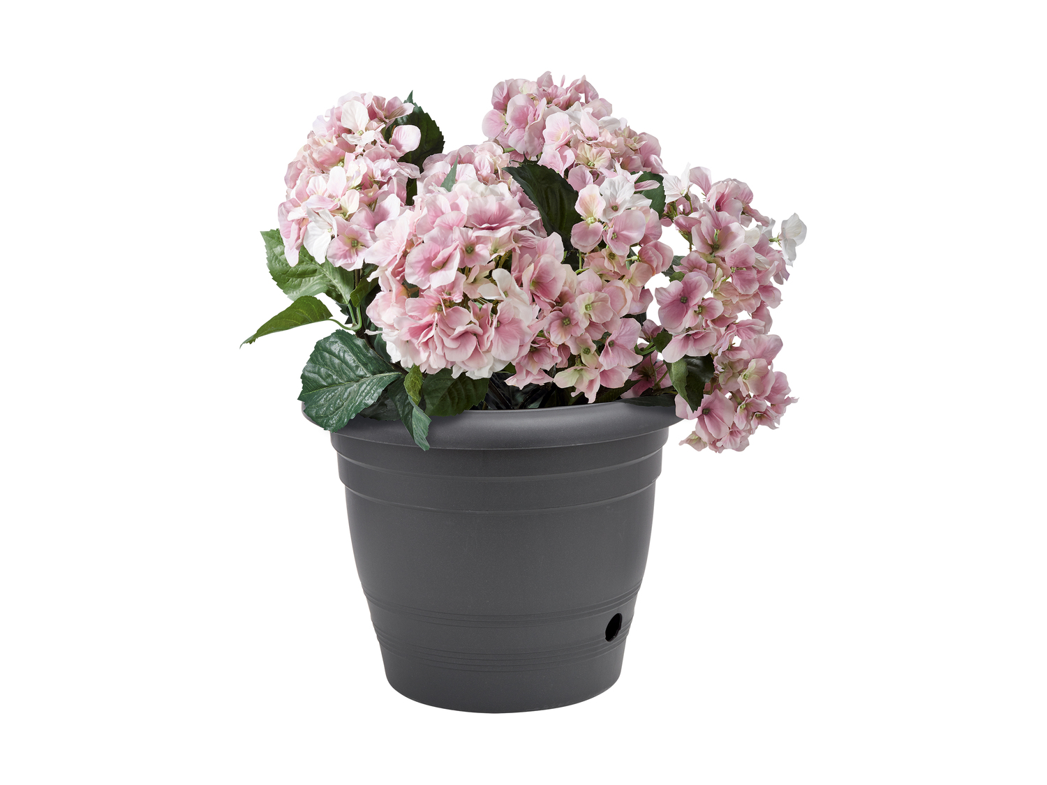 Pot de fleurs , le prix 4.99 €
- Env. 40 x 32 cm (Ø x h)
- ...