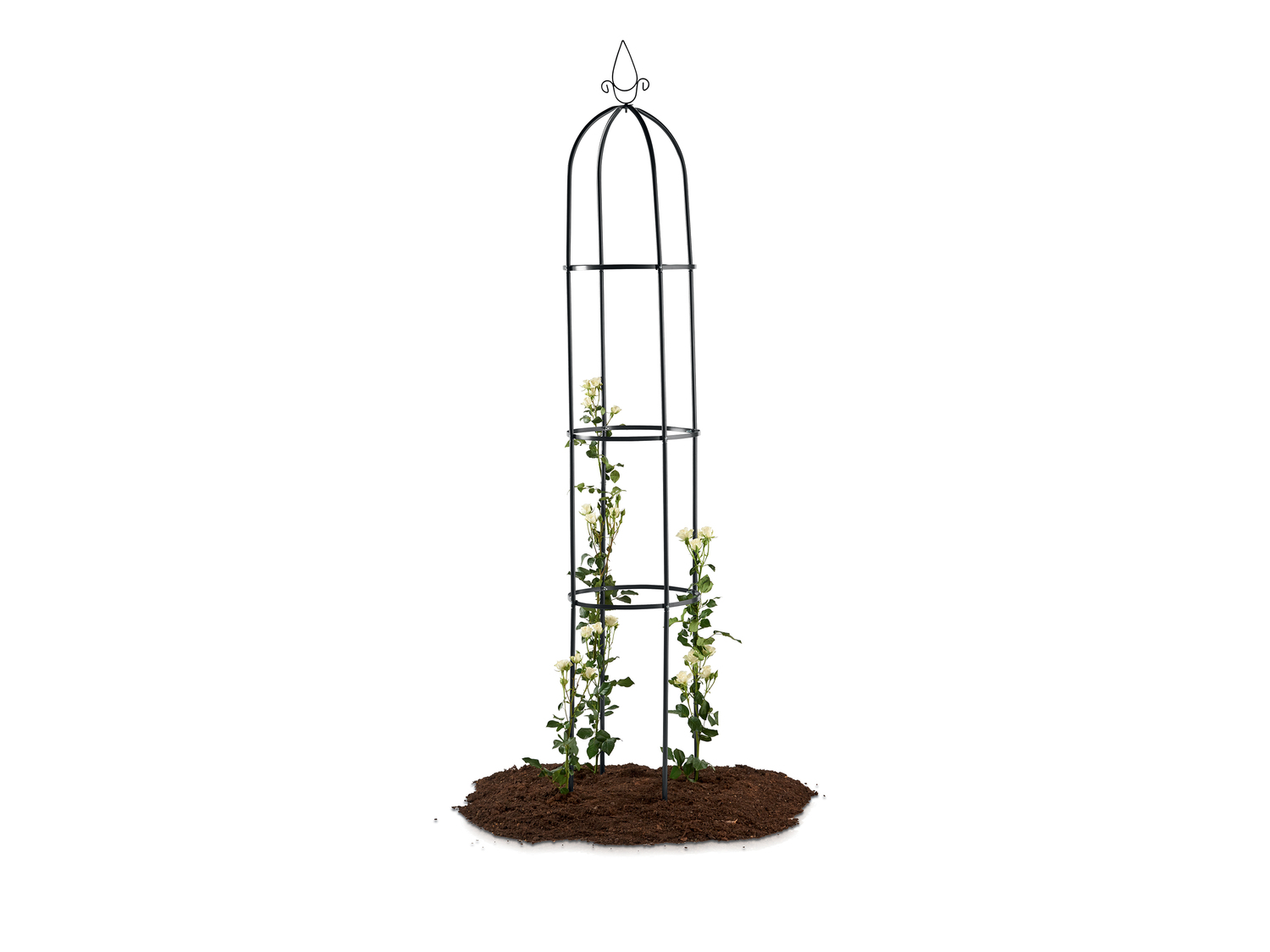 Arche pour rosiers ou tour de culture , le prix 9.99 €
Au choix :
- Arche ...