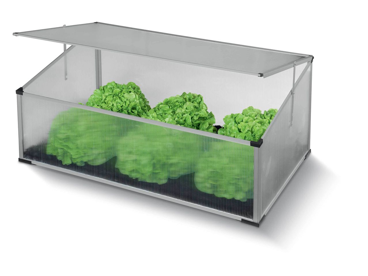 Mini-serre de jardin chez Lidl , prezzo 34.99 EUR
Mini-serre de jardin 12
- ...