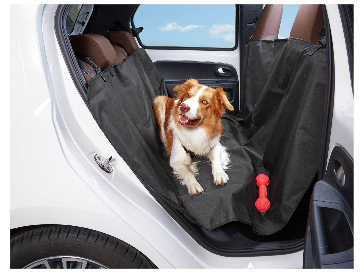 Housse de protection pour voiture Zoofari, le prix 6.99 €
- Pour le transport ...