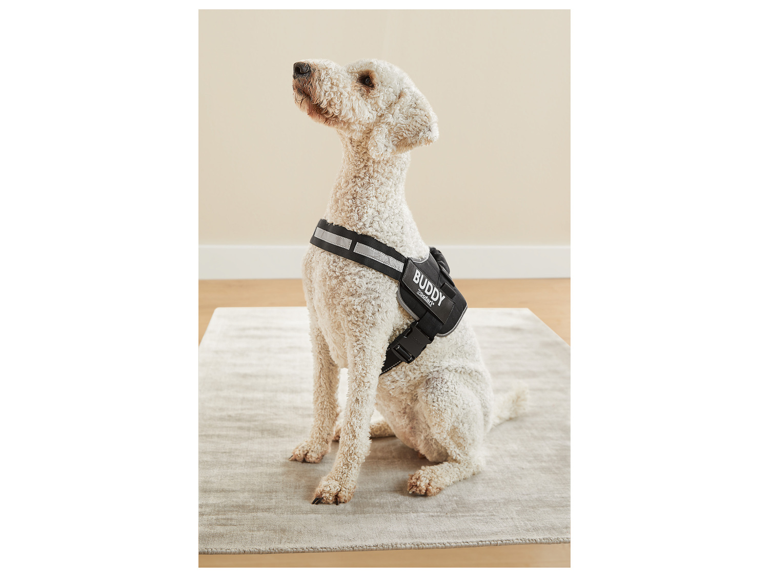 Harnais pour chien , le prix 6.99 €
Tailles disponibles :
- ...