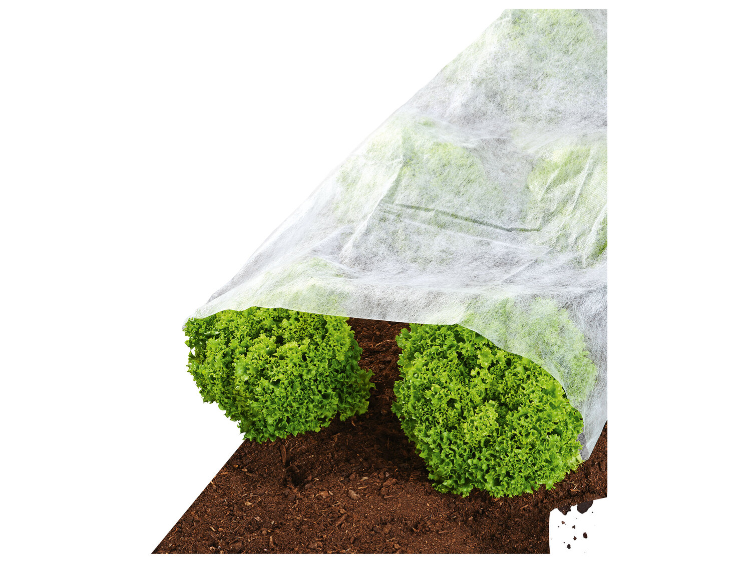 Feutre de paillage , le prix 2.49 €
- Env. 10 x 1,5 m (L x l)
- À découper ...