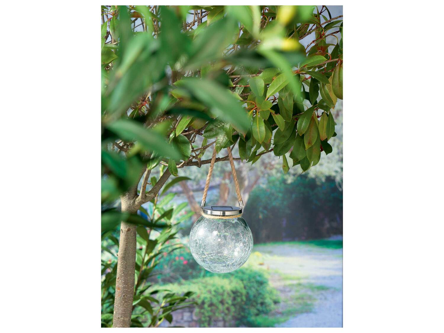 Lampe solaire à LED , le prix 5.99 €
- En verre avec couvercle en acier ...