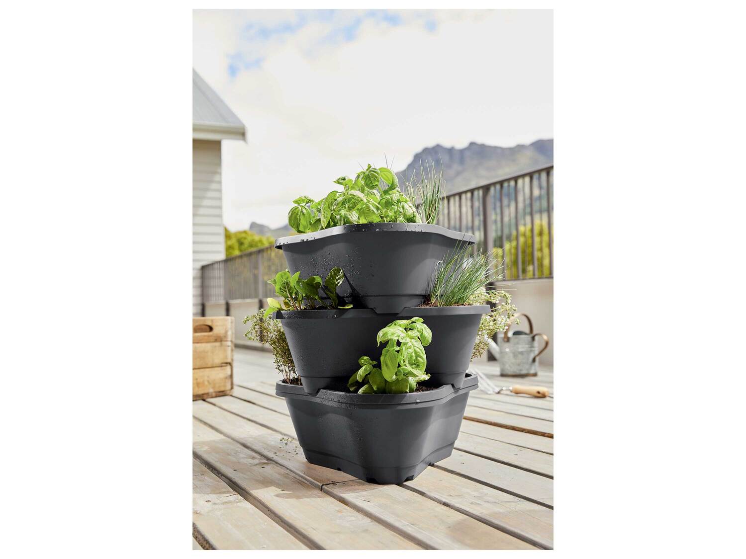 Tour à pommes de terre , le prix 14.99 €
- Env. 44 x 57 x 41 cm (l x h x p)
- ...