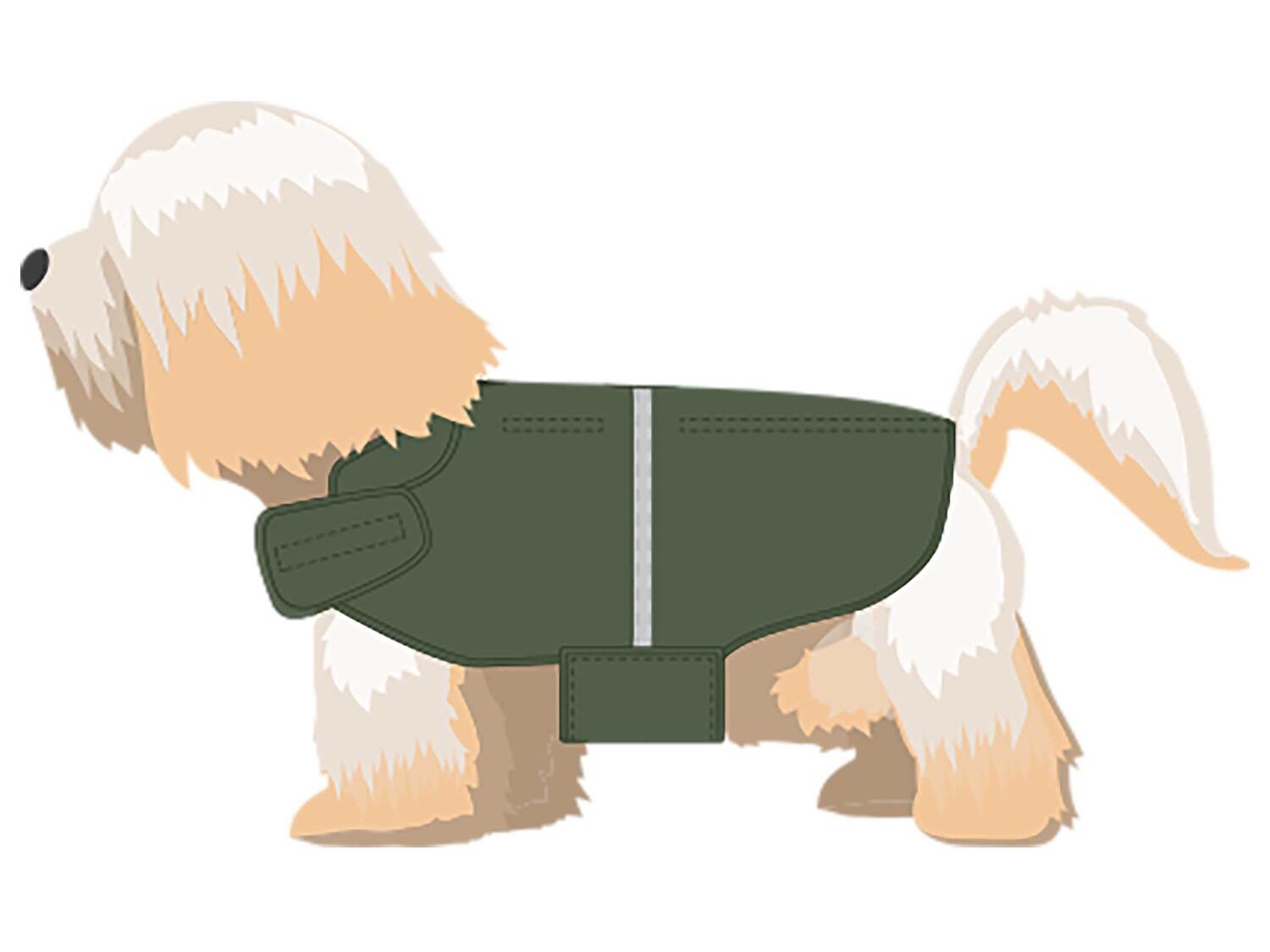 Imperméable pour chien , le prix 5.99 €
- Tailles : S, M ou L selon modèle
- ...