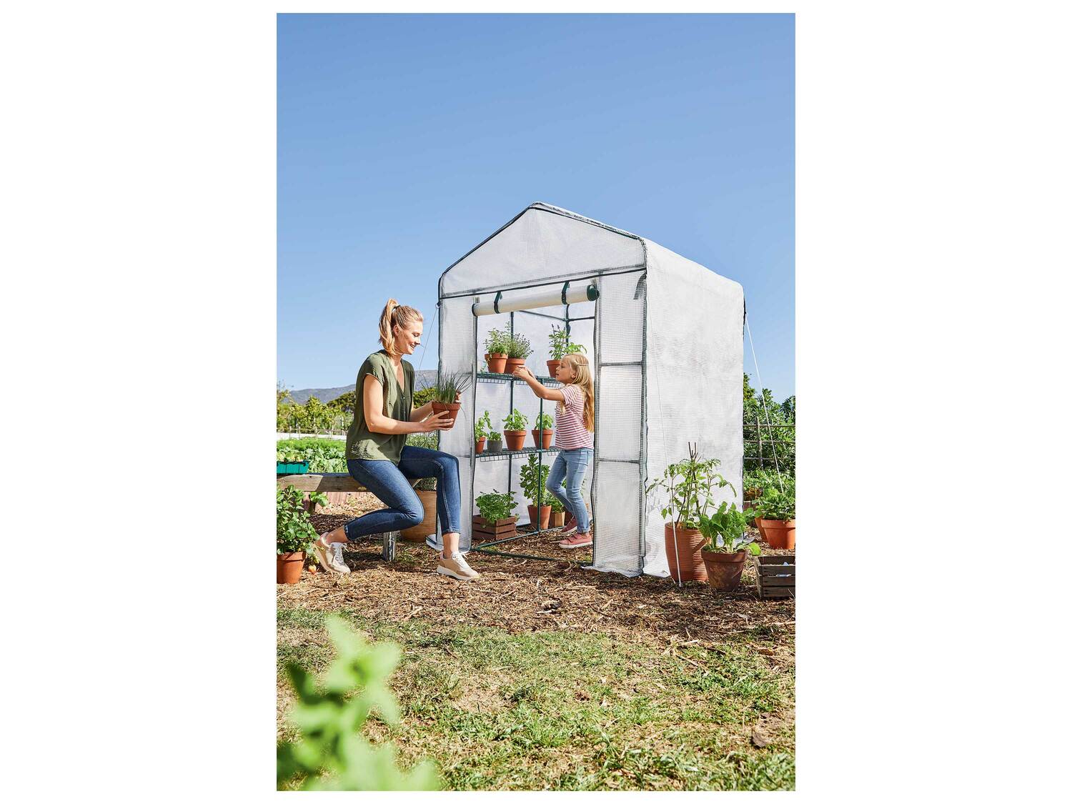 Serre , le prix 64.99 €
- Env. 140 x 200 x 140 cm (l x h x p)
- 16 piquets ...