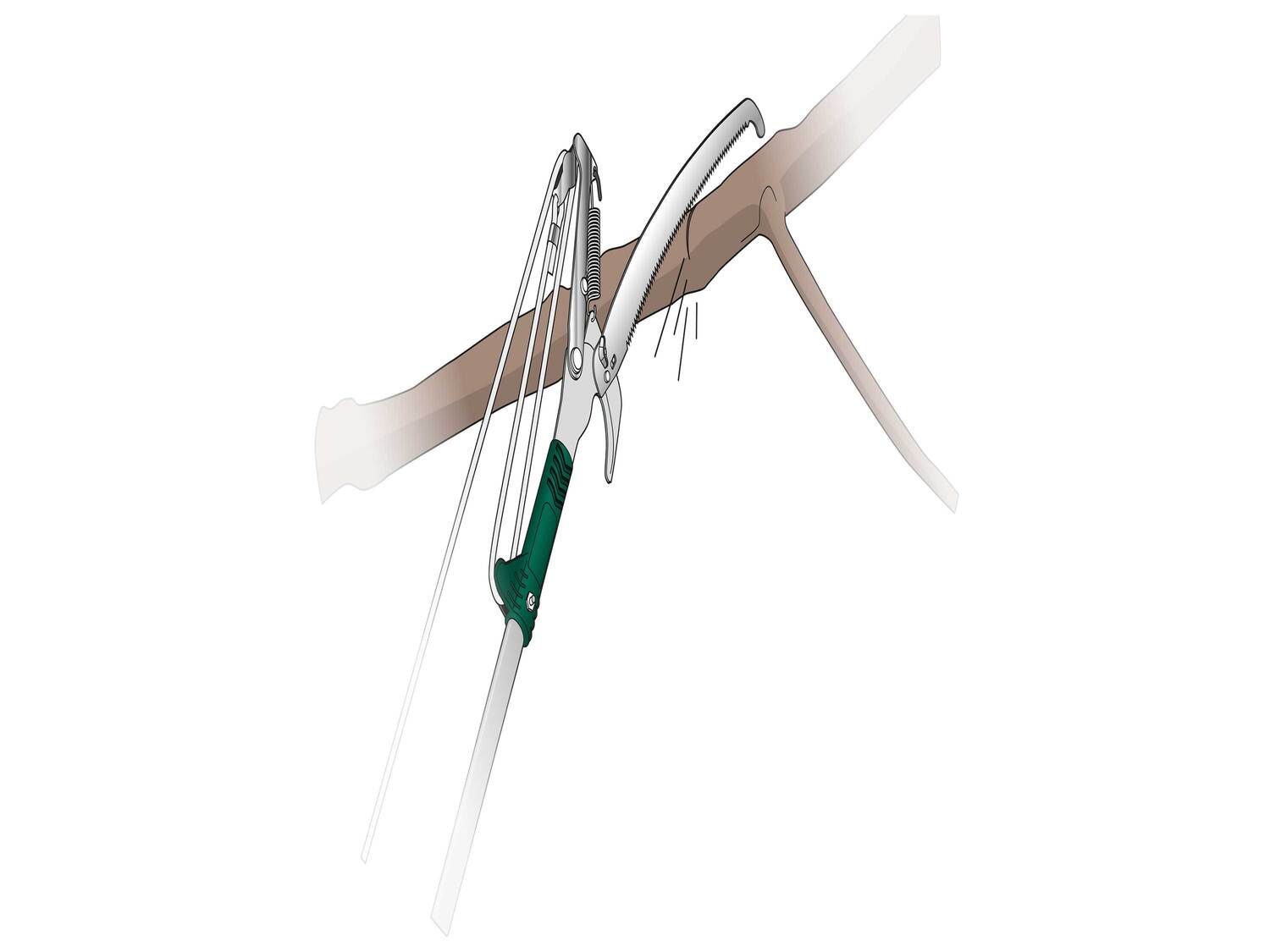 Coupe-branches télescopique avec scie , le prix 19.99 €
- 2 OUTILS DE COUPE ...