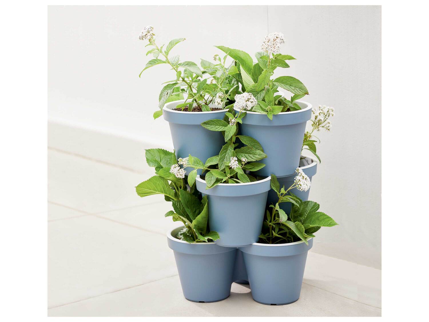 Set de pots de fleurs , le prix 11.99 €
- Volume de plante recommandé ...