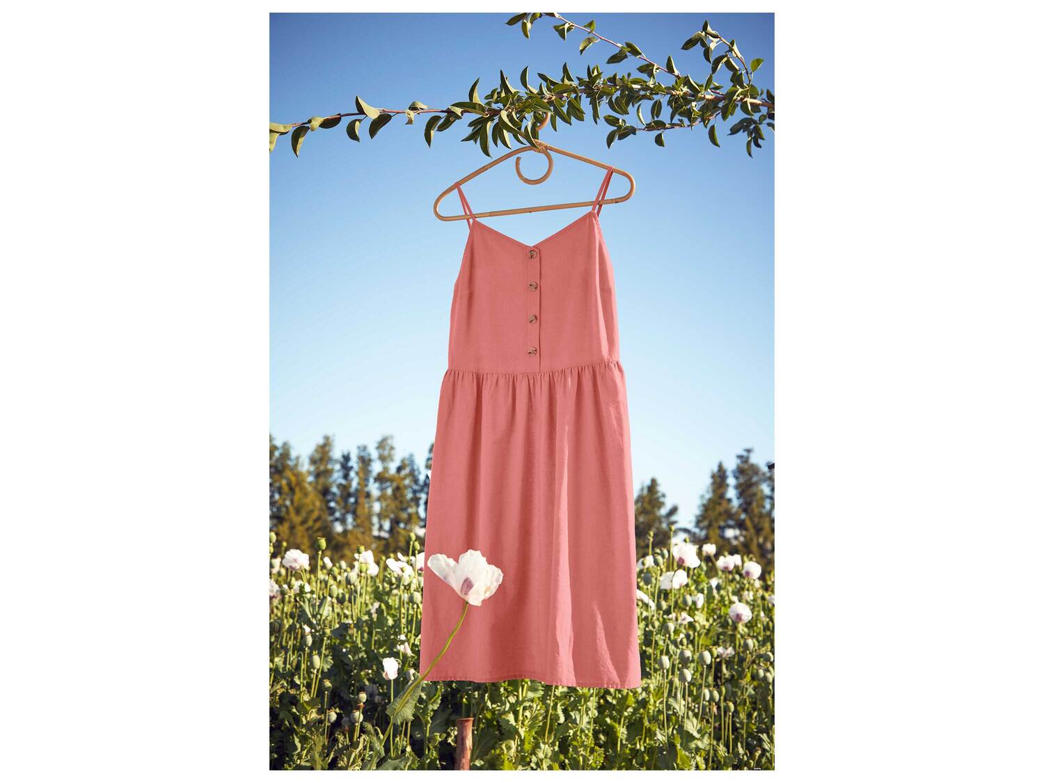 Robe en lin , le prix 11.99 €
- Du 36 au 48 selon modèle
- ...