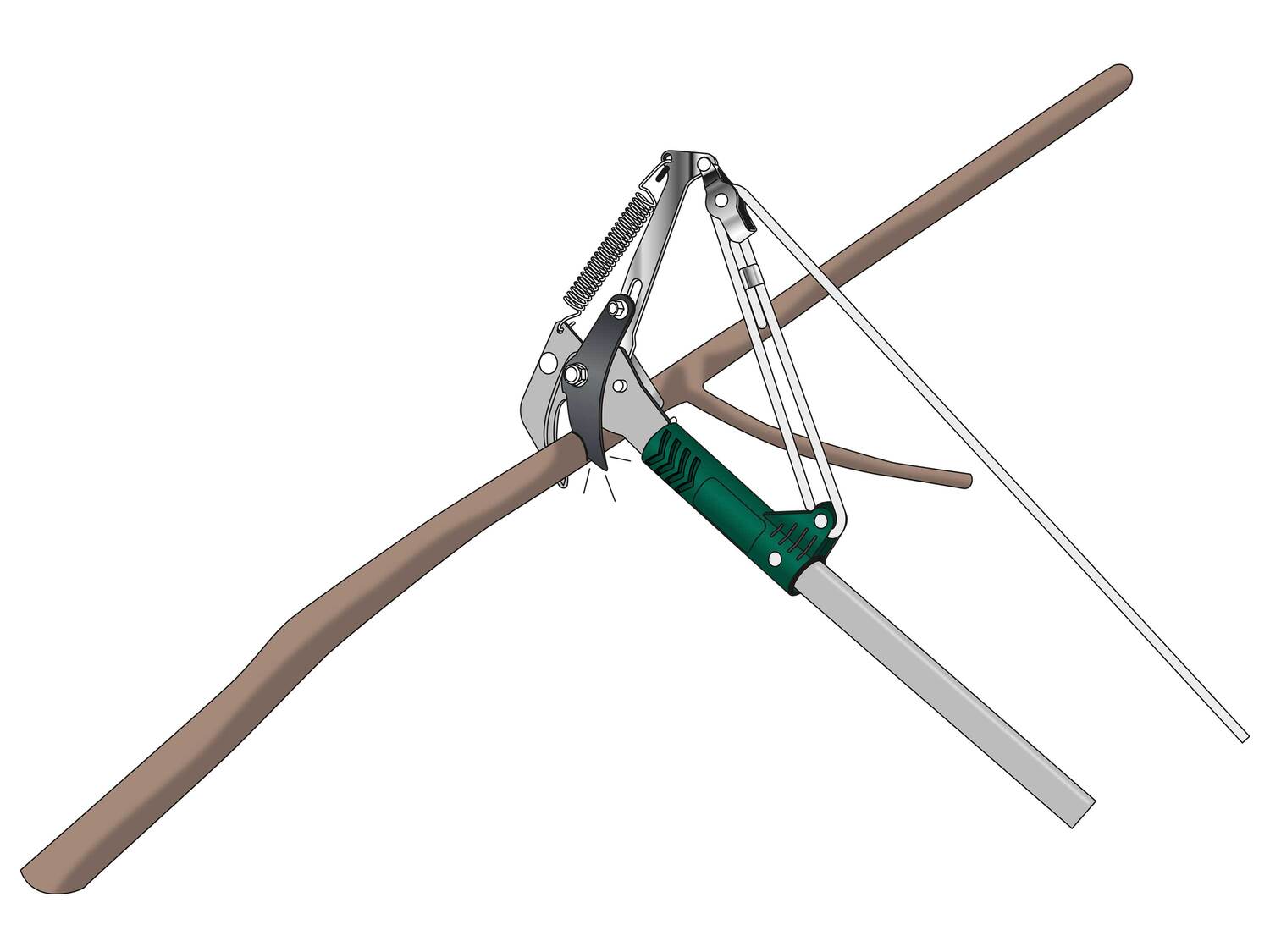 Coupe-branches télescopique avec scie , le prix 19.99 €
- 2 outils de ...
