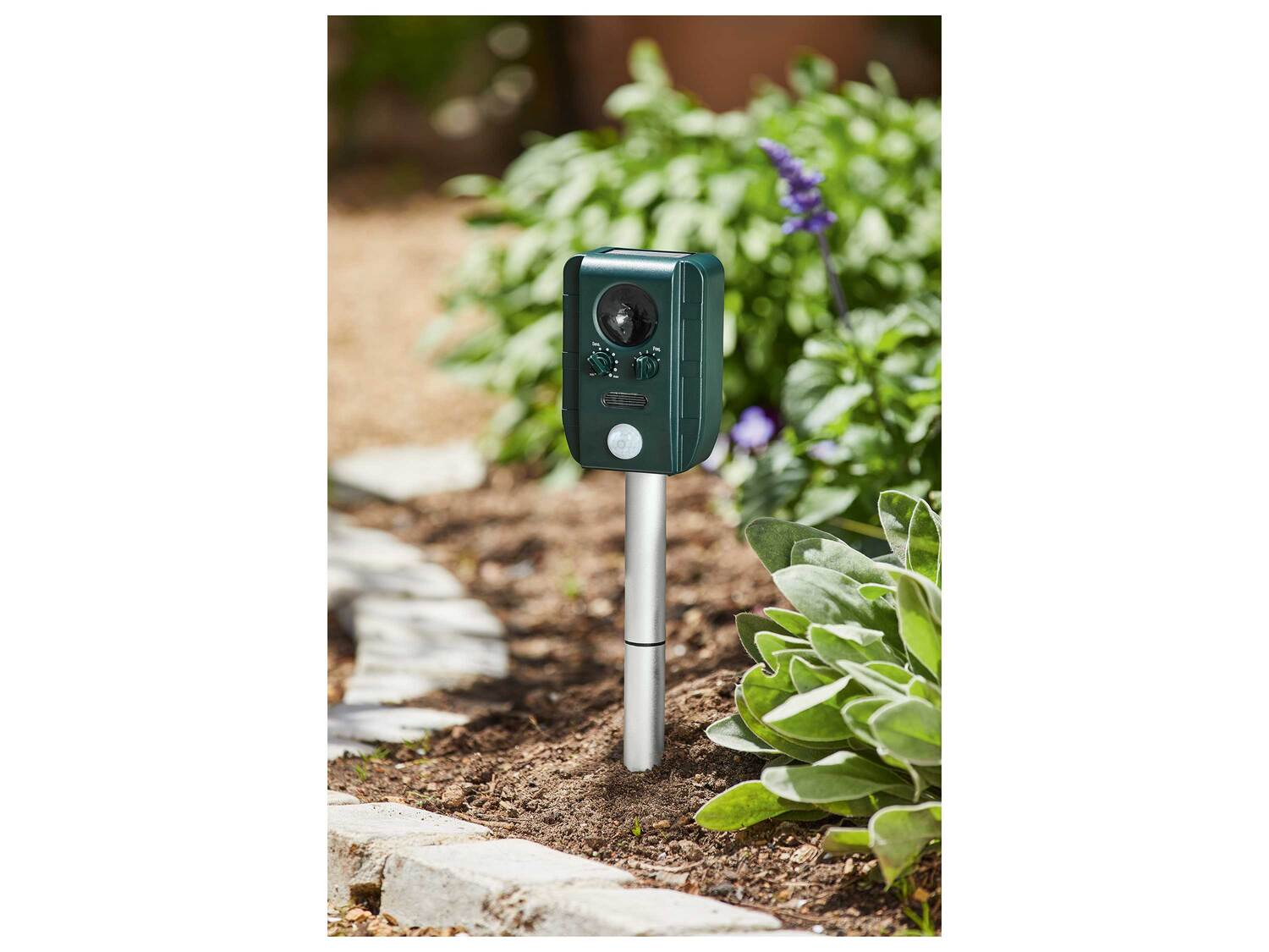 Effaroucheur solaire , le prix 14.99 €
- Portée - env. 8 m
- ...