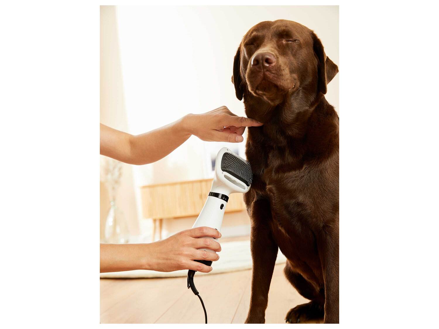 Brosse à air chaud pour animaux , le prix 14.99 €
- Brosse et sèche le pelage ...