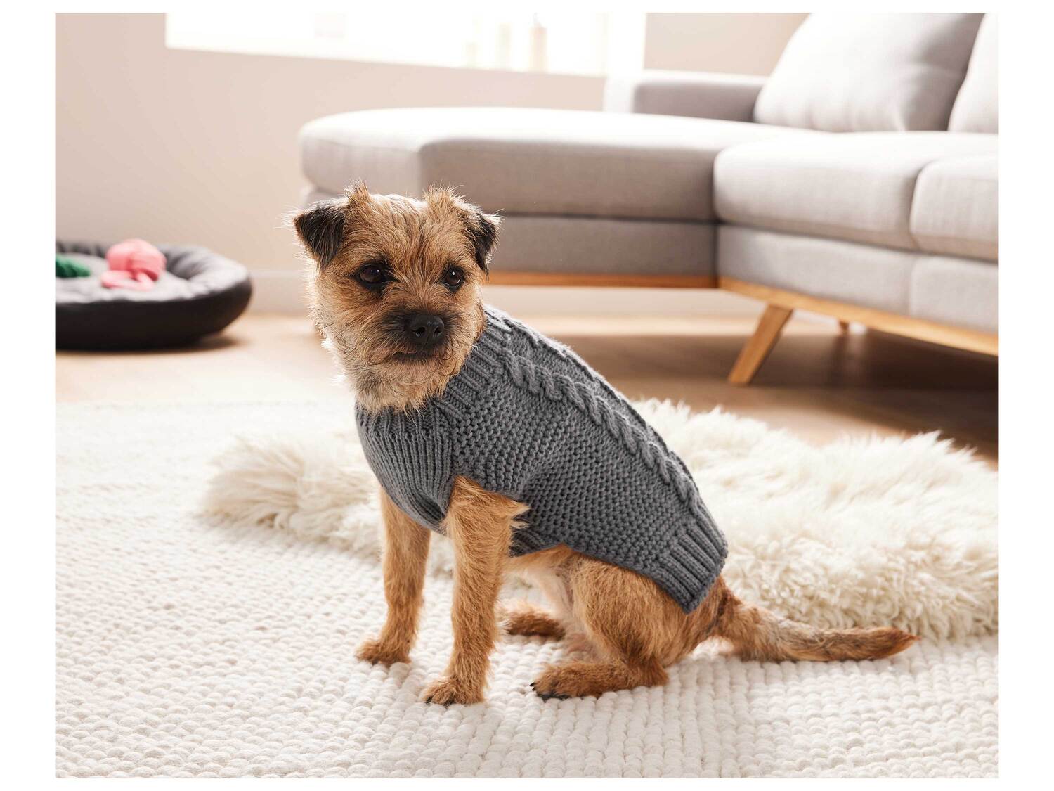 Pull pour chien , le prix 6.99 €
- Ex. 100 % acrylique
- En maille douce pour ...