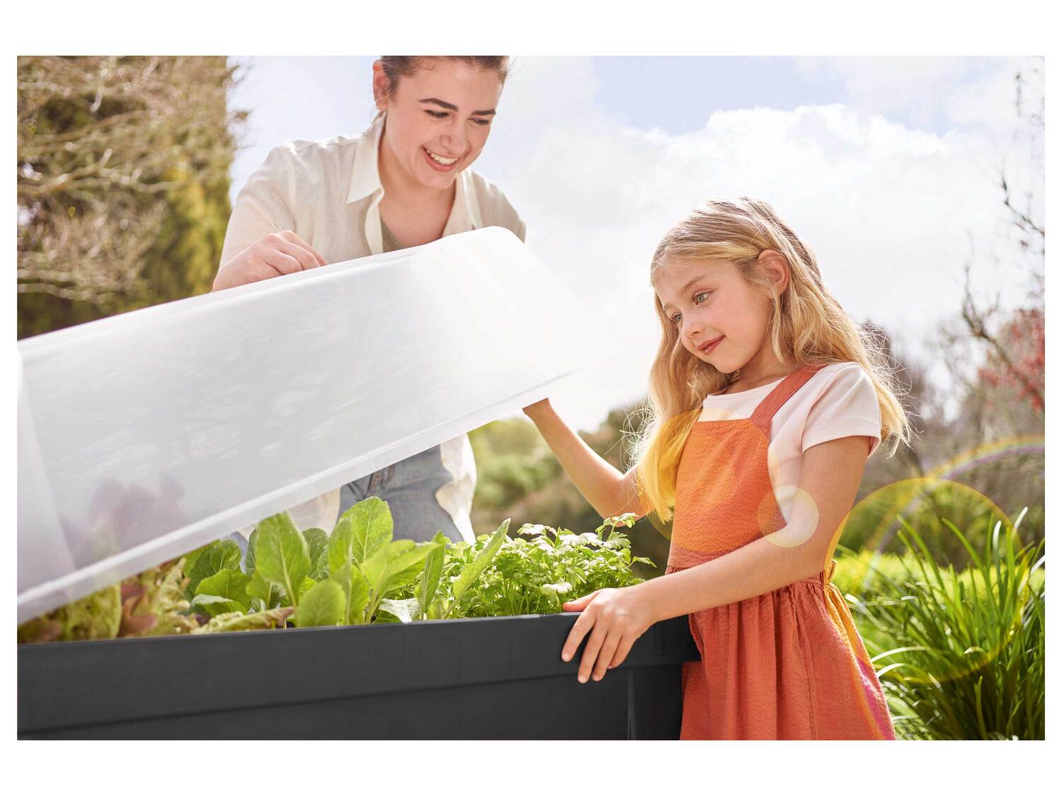 Table de culture avec couvercle , le prix 24.99 €
- Env. 79 x 39 x 88 ...