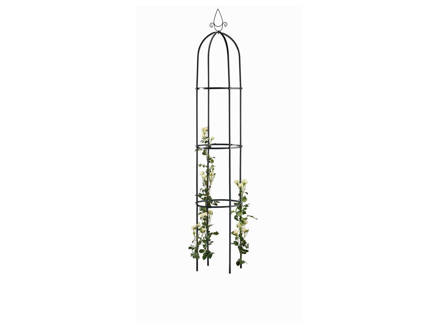Arche ou tuteur , le prix 9.99 €
- Arche pour rosiers : env. 133 x 260 ...