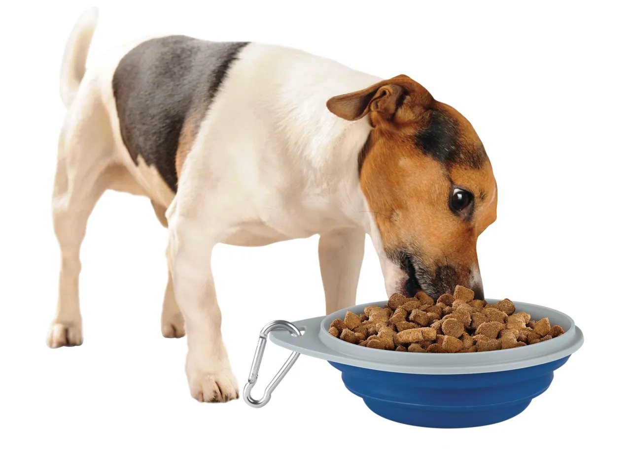 Jouet ou accessoire pour chien , prezzo 2.99 EUR
Jouet ou accessoire pour chien ...