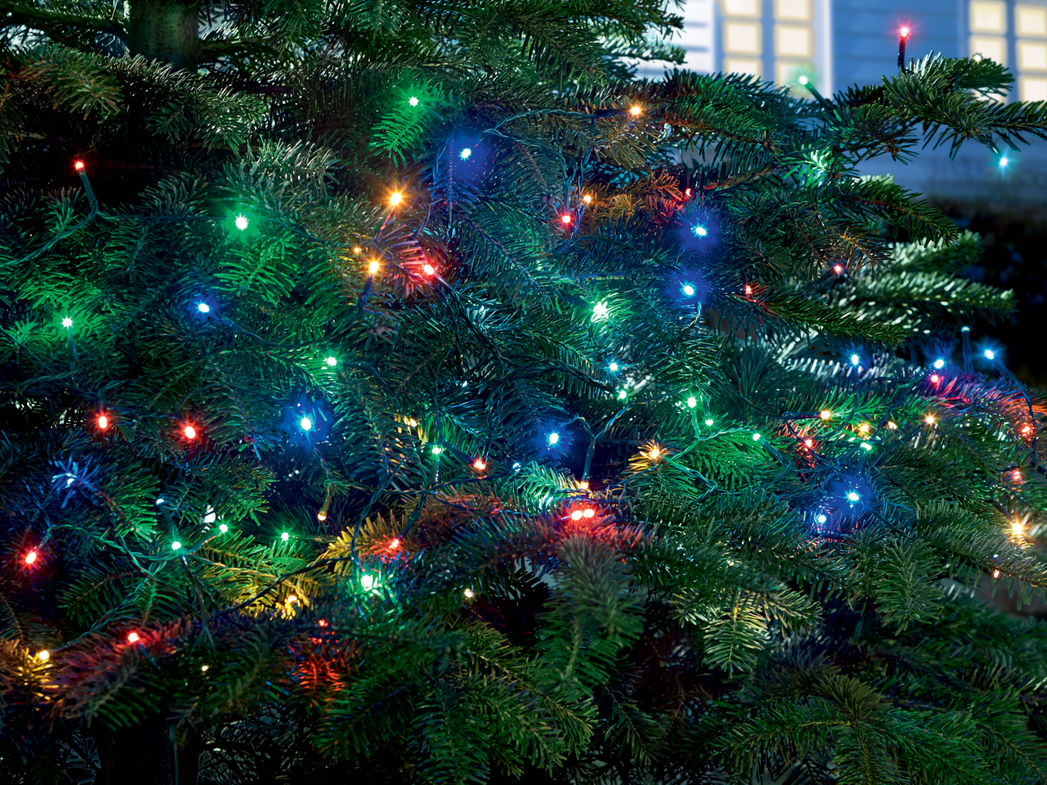 Guirlande lumineuse LED à piles ou secteur , le prix 7.99 €
- Melinera®
- ...