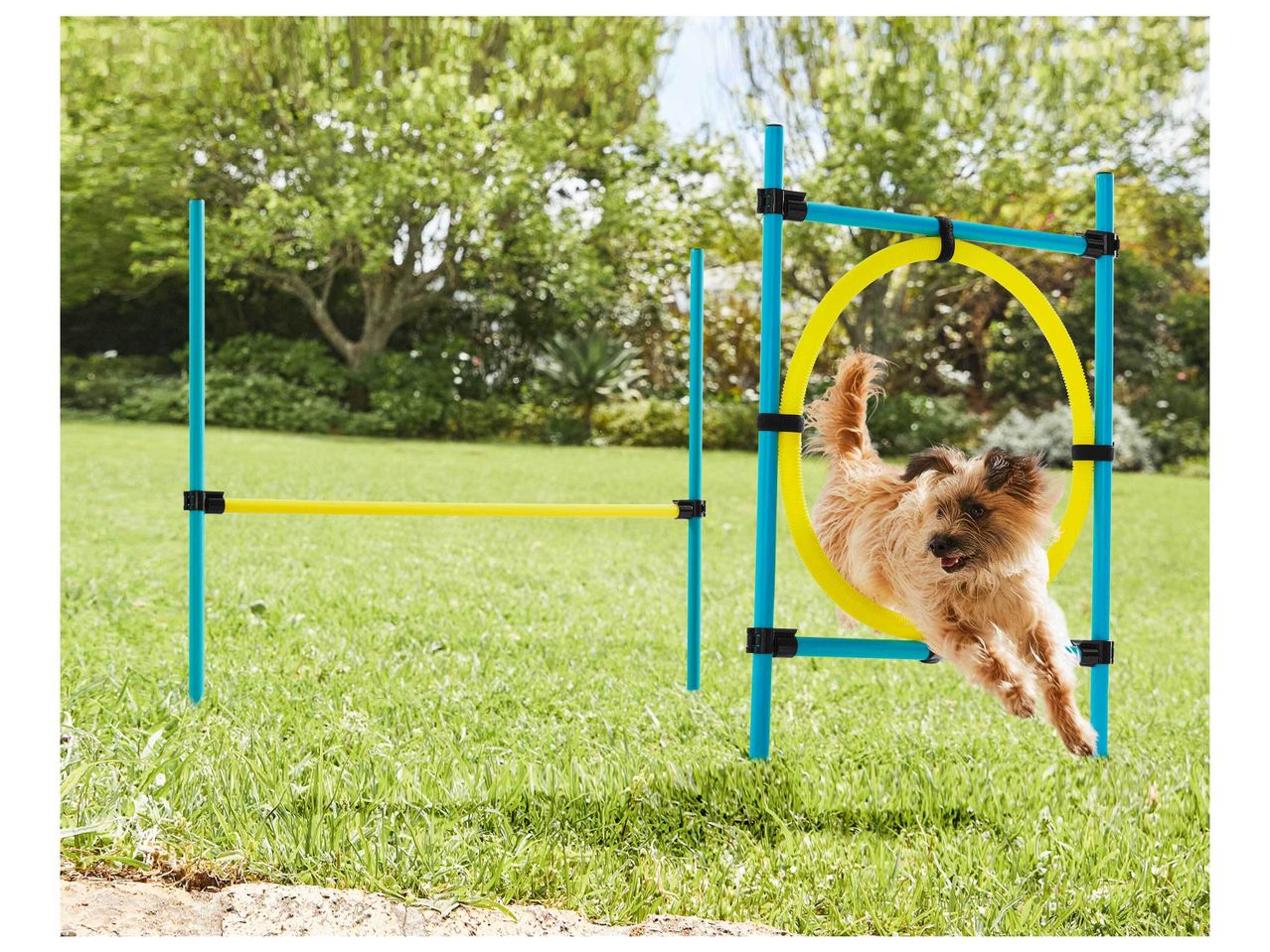 Accessoire Agility pour chien , prezzo 12.99 EUR
Accessoire Agility pour chien ...