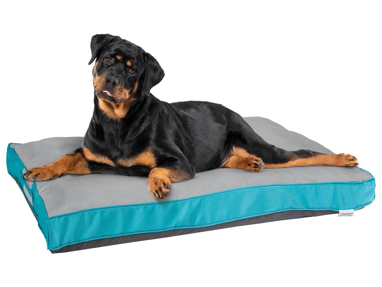 Panier d'extérieur pour chien , prezzo 26.99 EUR
Panier d'extérieur ...