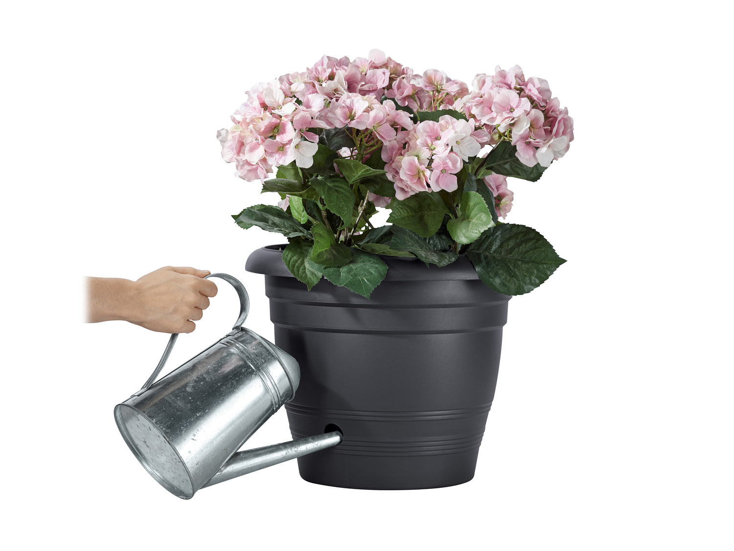 Pot de fleurs , le prix 4.99 €
- Env. 40 x 32 cm (Ø x h)
- ...