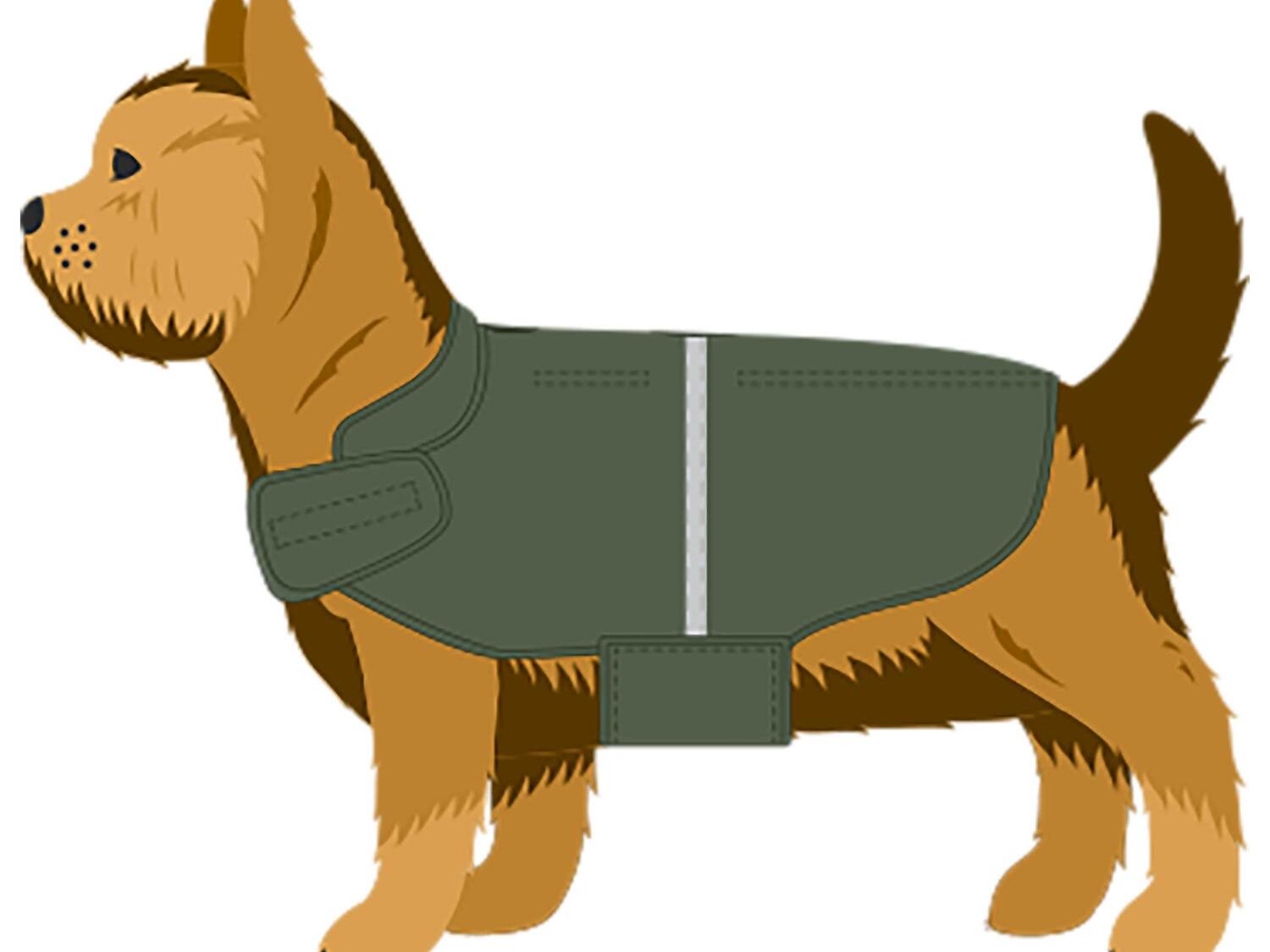 Imperméable pour chien , le prix 5.99 €
- Tailles : S, M ou L selon modèle
- ...