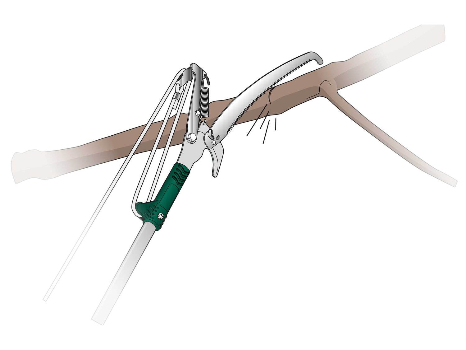 Coupe-branches télescopique avec scie , le prix 19.99 €
- 2 outils de ...